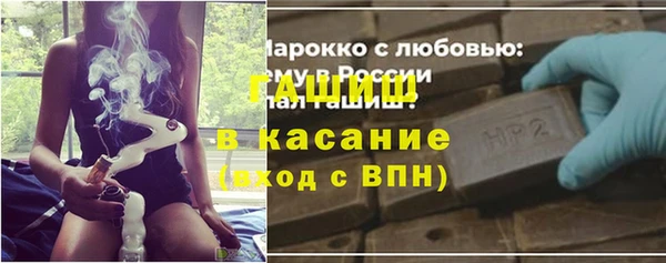амф Каменка
