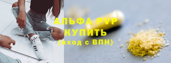 ПСИЛОЦИБИНОВЫЕ ГРИБЫ Иннополис