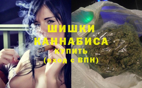 бошки Инта