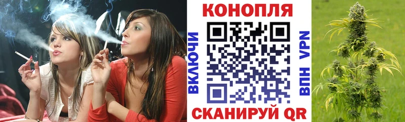 Купить где  Кингисепп  Бошки Шишки AK-47 